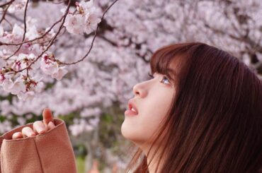 #0327 
#さくらの日 #
.
もうこの季節か。。。...