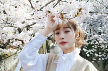 今年も綺麗でした

#目黒川 #桜 #cherryblossom 
#meguroriver #sakura #meguro...