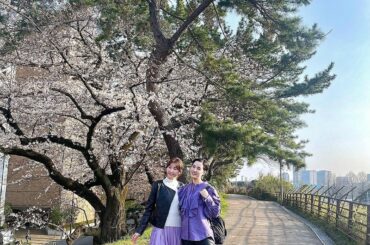 .
奈津子さんとお出かけ♪
まさかのリンクコーデで、
会った瞬間に笑ってしまいました

こんなにピッタリくる事あります？笑

桜はもう少しで満開ですね♪楽しみ
...