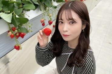 今年もう行けないかなと思っていたけど
ギリギリいちご狩りにまた行けました
⁡
今回はいろんな品種がある所にお邪魔したのですが
初めて聞く品種も沢山あり面白かった...