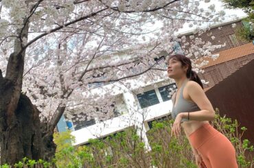 *
@laceupgym の新しいパーソナルジムの目の前に大きな桜の木が...

満開でした

桜の季節を感じながらトレーニング(悲鳴あげながらw)
@maya...