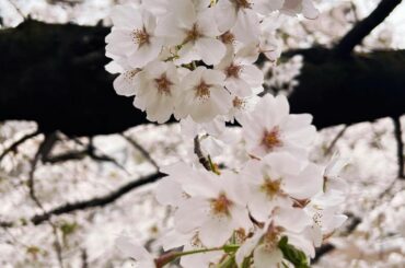 ゆっくりと流れる時間を過ごすのが好きです...