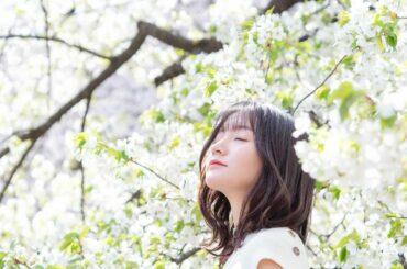 桜が散る前に載せておかねば！

　@massa_photo 
.
.
#桜#桜ポートレート#お花見#sakura...