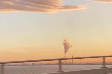 映画を観てふふんって笑ってダラダラ涙流して帰路について明日も映画観ようって思ってたらもうこんな時間だって。おやすみ。...