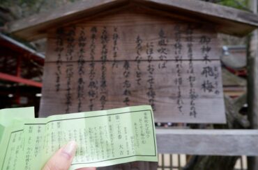 太宰府天満宮といえば梅の花。
梅の御神木の前に、太宰府に左遷された時の菅原道真公の和歌が書いてあって、
うっとりしながら読んでいたら

そのあと引いたおみくじで...