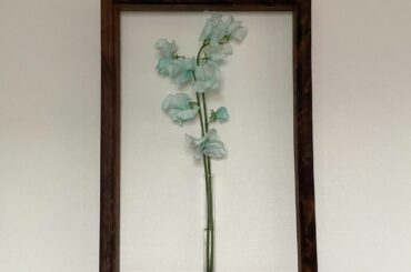 あっちーって言いながら
出来たてのオムライス食べて
お家ではもう半袖着てて
そばに咲いてる桜は
もうほとんど散ってしまったけれど、
私はゆっくりちゃんと生きてい...