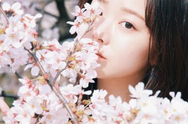 *
飽きられる前に散る桜...