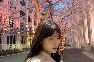 ...

 #夜桜  #桜  #江戸桜通り  #日本橋 #夜桜ライトアップ...