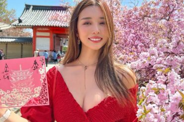 Sakura festival in Ninnaji, Kyoto.

SAKURA is fugacious blossoms that will be ou...