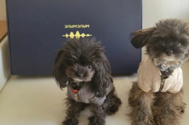 .
首があまりよくないので
枕を新調した話をしてたとおもうのですが、本当に首が少しらくになって、重宝してます
@wavewave.wavewave 
Bluet...