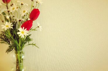 .
昨日は帰りにお花屋さんに
.
いつも通りすぎてたお花屋さんで!!!
チューリップに目を惹かれて一輪挿しにしようと思ったけど
それに合うのはマーガレットだよと...