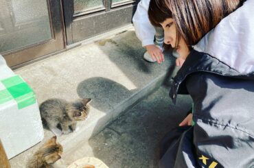 こねこ
かわいい〜...