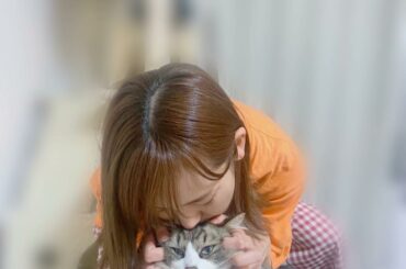 ソファーに跨ってるテトに跨ったら怒られました。笑

#テト #ねこ #猫のいる暮らし #cat #4コマ漫画...
