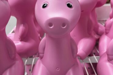 可愛いブタさんにこの前出会った...