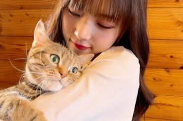 ⁡
⁡
稲場ロアです。♡
⁡
⁡
#juicejuice #稲場愛香 #愛猫 #ロアちゃん #猫 
#かわいすぎる #癒し #あああああ会いたい 
#写真もまた...
