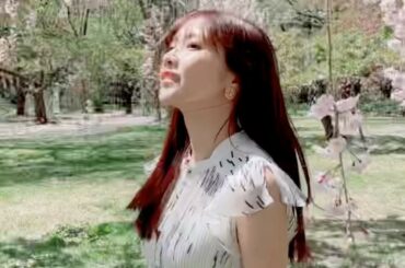 #弘前公園
#青森
@sadamomodayo カメラ
ほとんどが葉桜になってしまってました。...