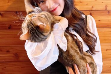 ⁡
⁡
稲場ロアが世間に見つかっちゃうぅううう
⁡
⁡
⁡
#juicejuice #稲場愛香 #稲場ロア #ロアちゃん 
#可愛いでしょ本当に #愛猫 #猫バ...