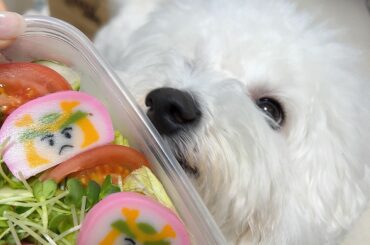 5,5子供の日
すぎたけど

#こどもの日...