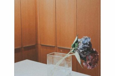 ふいにいただくお花ってとっても嬉しいね

私の大好きな紫陽花を。

おじいちゃんのことを思い出すお花

ありがとう...