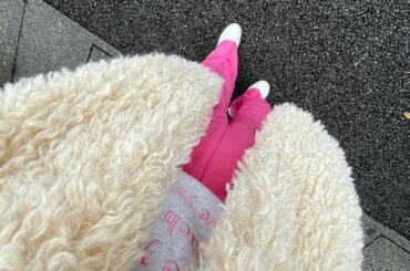 ‪‪‪‪︎‬
pink

#ピンクコーデ #ピンクカラー #ピンクパンツ 
#instagood #instafashion #f4f #ootd...