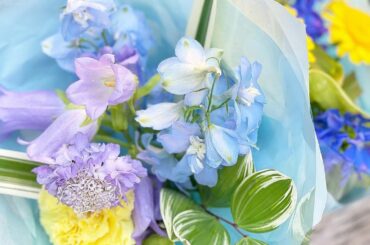 お空がきれい、お花が綺麗…
優しい人に出会ったり
とっても幸せで気持ち良い一日でした…

おやすみなさい

#gn...