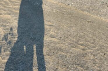 夕陽を撮りに行った写真沢山載せました、どうでしたか〜？

これは何か作品の一部になるのではないか、、と思って載せようか迷ったのですが
(載せてない写真まだいっぱ...