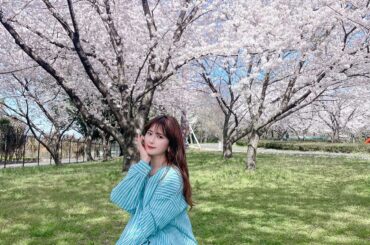 ⁡
サクラが満開だったころの
フサフサの一面ピンクは
可愛かったなぁ🫶...