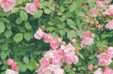 美味しい珈琲飲んだ日の写真...