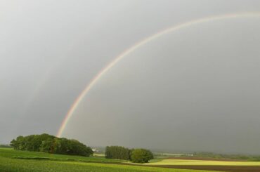 ⠀
本日、ふくろうの渓谷 @owl_canyon 満場です
ありがとうございます

キャンプ場からの帰路で虹を発見

とても大きな虹で一枚の写真に入りきらず分割...