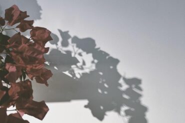 @yua_mikami ちゃんの @mistreass_official の展示会に行ってきました
お洋服はこのクロップドTを注文したよ...