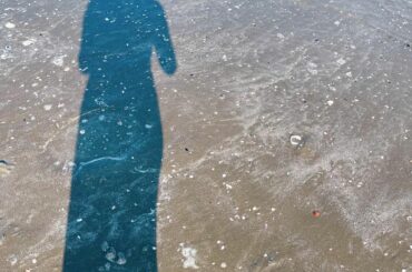 リフレッシュ出来ました...