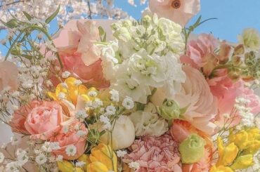 「継続は力なり」が座右の銘。

特に美容はそうで、一日や二日ではなかなか変化を感じにくいけど、続けているとある日突然"なんか今までと違う！"となったり、徐々に肌...