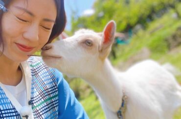 忘れられない旅
和歌山 田辺にて
ジョバンニさんご夫婦の
ゲストハウスにお邪魔しました
かわいいヤギのお出迎えから始まり、
美しく絶品な手料理、
全てを解放した...