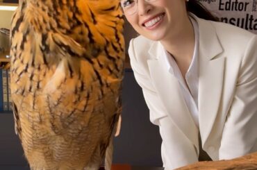 トラちゃ〜ん#owl...