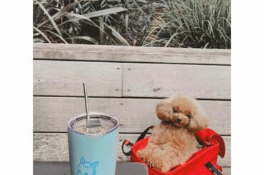 息子の歯科健診待ち...