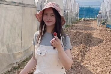 大好きなトマトジュースを追い求め、
飛騨高山の寺田農園まで行ってきました
@teradafarm 

手植えで丹念に愛情たっぷりに育ったトマトたち

大好きが高...