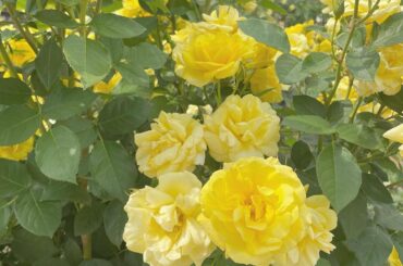 最近凄く、脱出ゲームが充実しています！
⁡
今まで趣味と言えるようなものはなくて
脱出ゲームもマイブームだと思ってたけど
もうすぐ趣味って呼べるかな？笑
⁡
私...