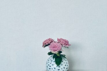 先日、『趣味の園芸』の撮影にて、
ちょっと早めのお誕生日祝いで頂いたお花。

長野県で育てられている『ゴースト』という名前の薔薇だそうです。

ヴィンテージ感あ...