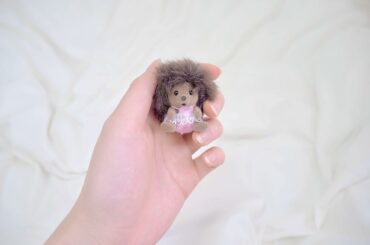 シルバニアで１番すき ︎︎︎︎︎︎︎...