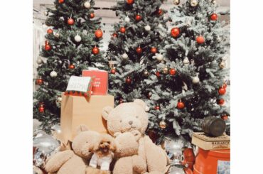 先日、 @laramiofficial が @gelatopique_official の「CAT&DOG」の発表会にお呼ばれして、私も飼い主としてついて行って...