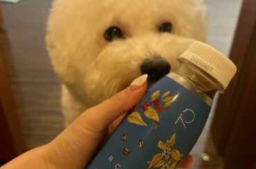 りょうくんがジョージに送ってくれたやつのお裾分けで私も

ボトルになるなんてすごいよね！
おしゃれだし
スッキリしてて好き

#rcoffeebottle #ふ...