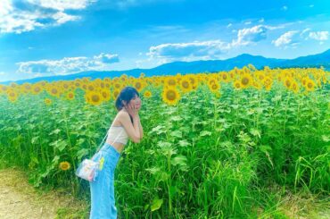 僕の夏休み

#ノーマルカメラ
#ひまわり畑...