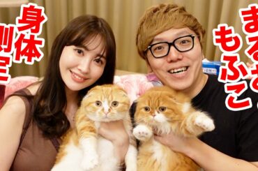 【ヒカキン×こじはる】まるお&もふこ身体測定！【こじキンTV】【小嶋陽菜さんコラボ】