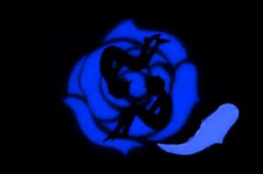 輪舞-revolution- #茅原実里