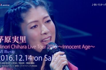 茅原実里 / Minori Chihara Live Tour 2016 〜Innocent Age〜 Live BD ダイジェスト映像