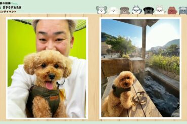 フットボールアワー岩尾望、愛犬つくしの魅力を語る「小顔でタイプです！」　トヨタ自動車「家族の相棒 SIENTA DOG PARK」OPイベント
