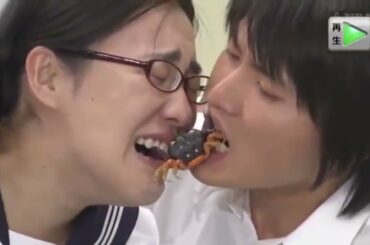 《めちゃイケ》✨ New ✨「重盛さと美」バカ丸出し企画を発表!!!シゲモリの森