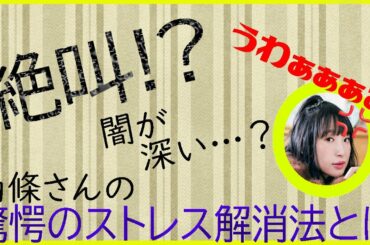 ストレス発散方法が謎すぎる南條愛乃　◇文字起こし【ジョルメディア】