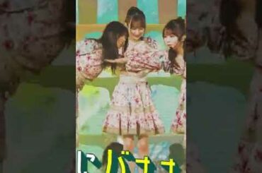 【齋藤飛鳥/鈴木絢音/与田祐希】わちゃわちゃしていて、と＾ってもくぁいいんだなん :)【乃木坂46】