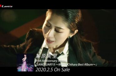 茅原実里 /  15周年記念アルバム『SANCTUARYⅡ〜Minori Chihara Best Album〜』リードトラック「We are stars!」MV Short size
